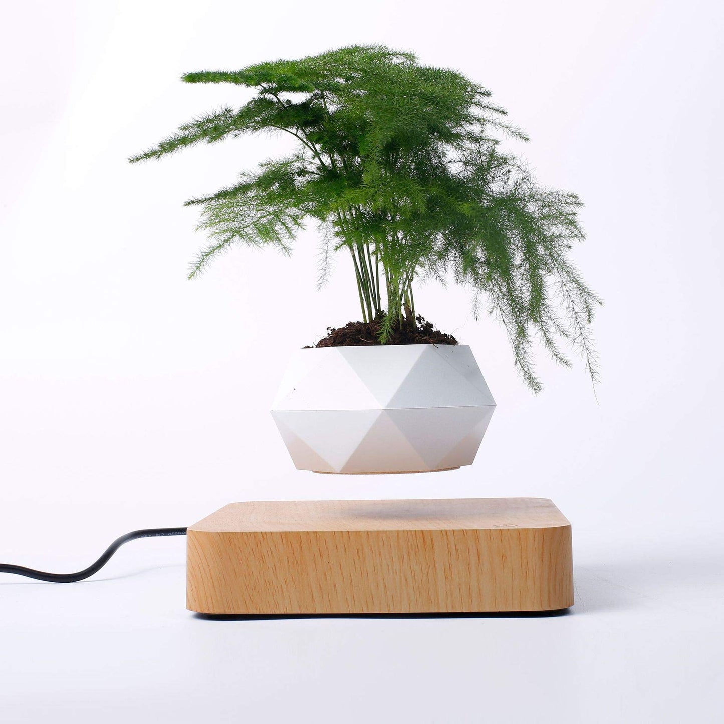 Magnetic levitation Floating air Bonsai creative ornaments Rotation potted plant Suspension Flower Pot Home Desk Decor