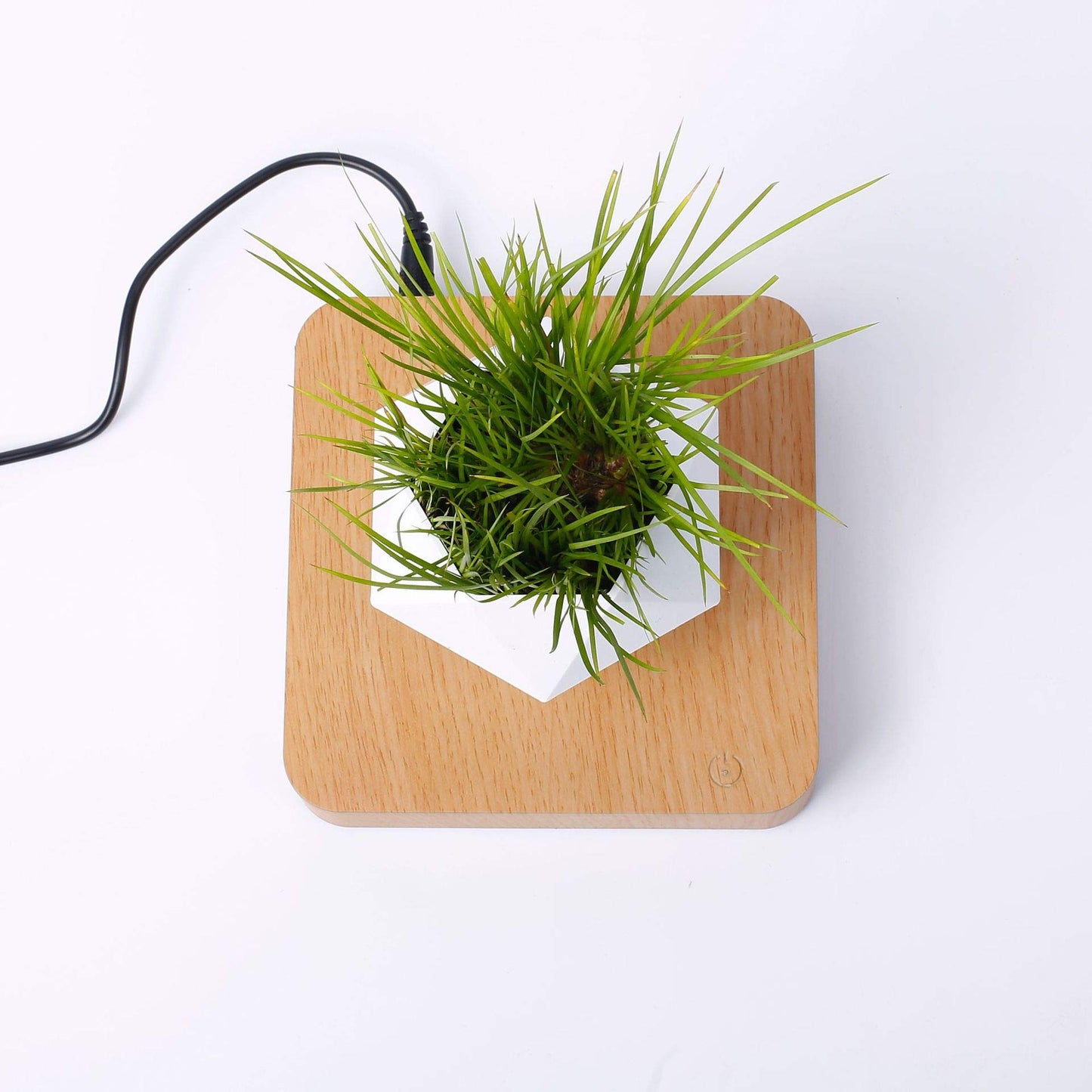 Magnetic levitation Floating air Bonsai creative ornaments Rotation potted plant Suspension Flower Pot Home Desk Decor