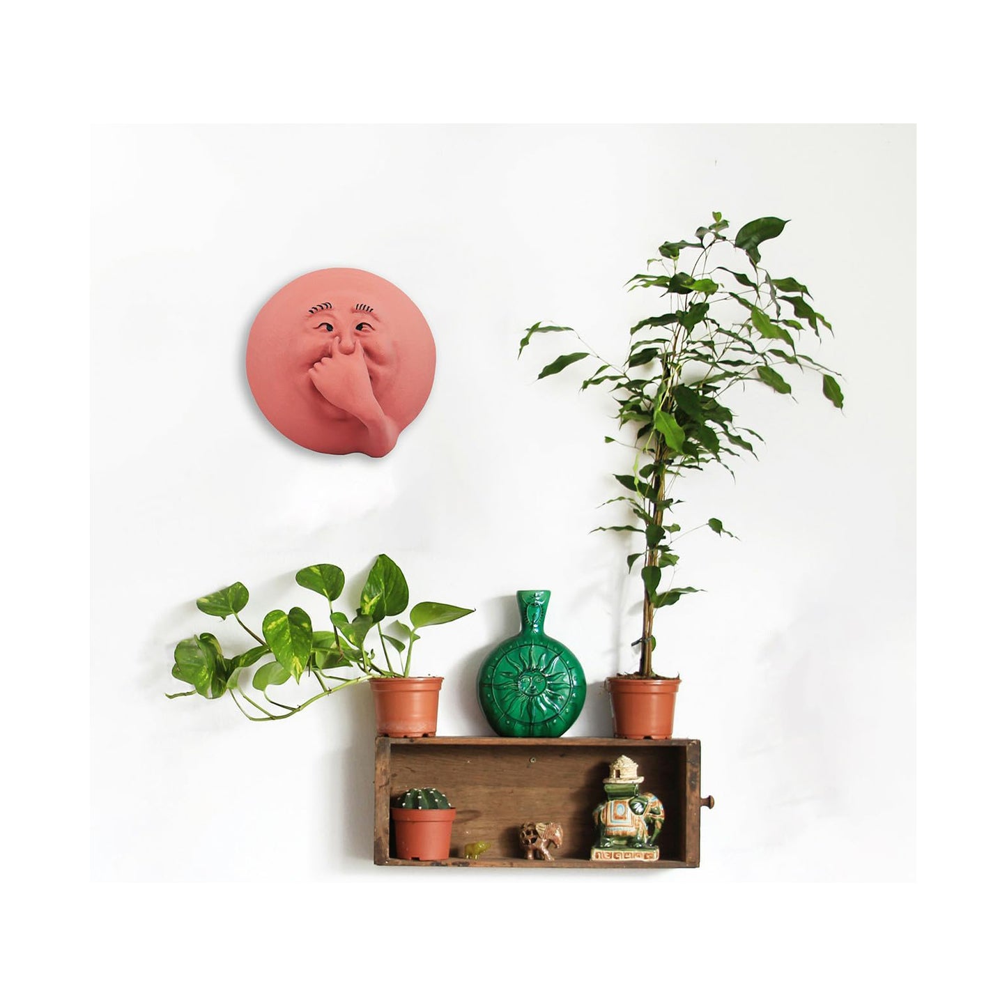 Green Vista Water Gardens Smelly Face Sam Funny Wall Bathroom Art Decor Humorous Sculpture Novelty Gift. Designed and Made in the USA