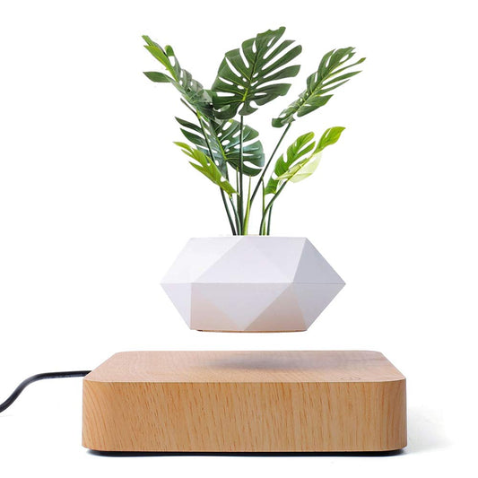 Magnetic levitation Floating air Bonsai creative ornaments Rotation potted plant Suspension Flower Pot Home Desk Decor