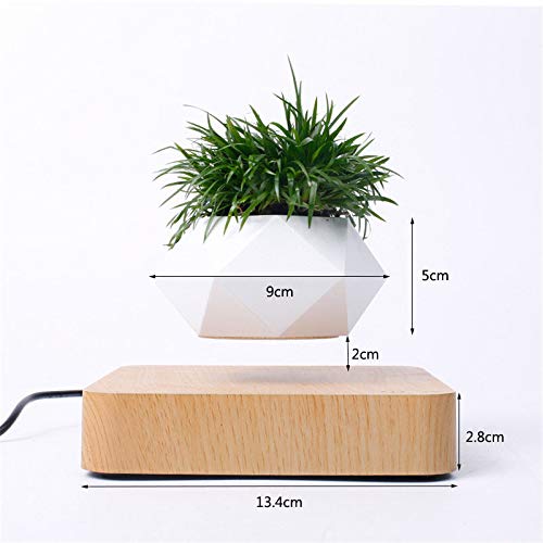 Magnetic levitation Floating air Bonsai creative ornaments Rotation potted plant Suspension Flower Pot Home Desk Decor