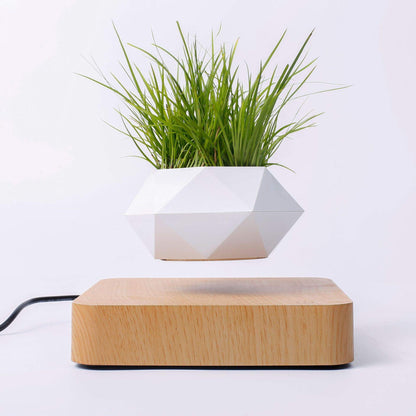 Magnetic levitation Floating air Bonsai creative ornaments Rotation potted plant Suspension Flower Pot Home Desk Decor