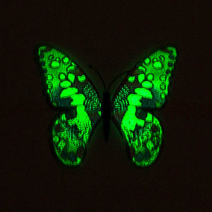 8CM Glow-in-the-Dark Butterfly Stickers - Fluorescent Window & Wall Decals for Kids' Room (3D Realistic Decor, Self-Adhesive, Non-Toxic Night Light Decorations)