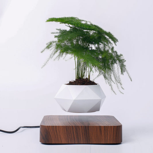 Magnetic levitation Floating air Bonsai creative ornaments Rotation potted plant Suspension Flower Pot Home Desk Decor