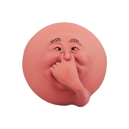 Green Vista Water Gardens Smelly Face Sam   Funny Wall Bathroom Art Decor   Humorous Sculpture Novelty Gift. Designed and Made in the USA