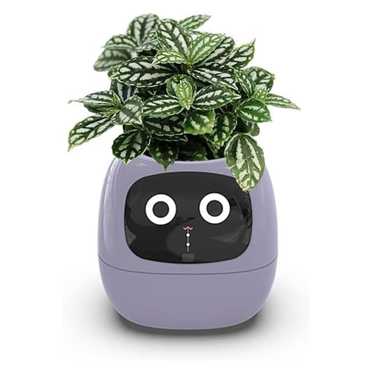 Smart Flowerpot