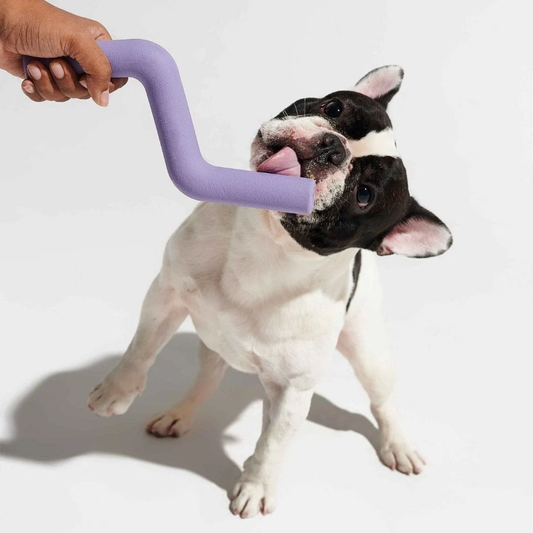 Dog Toy for Average Chewers, Durable for All Breeds, 100% Natural, Fetch, Tug