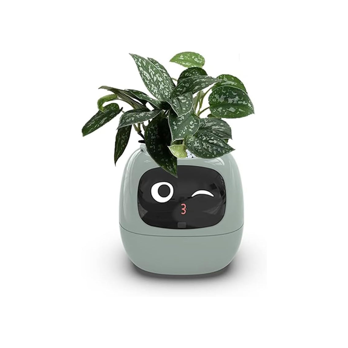 Smart Flowerpot