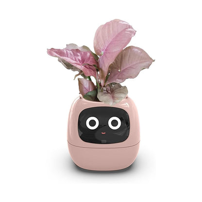 Smart Flowerpot