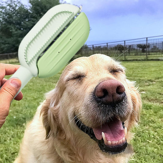 Cat Hair Remover Brush, Lightweight Pet 2 In 1 Grooming Comb,easy To Use Double-Sided Cleaning Brushes And Pet Accessories For Small, Medium, Large, Cats And Dogs, green