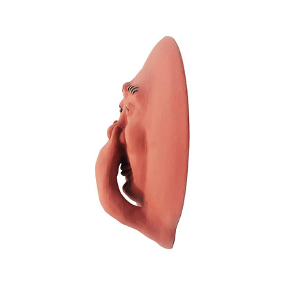 Green Vista Water Gardens Smelly Face Sam   Funny Wall Bathroom Art Decor   Humorous Sculpture Novelty Gift. Designed and Made in the USA