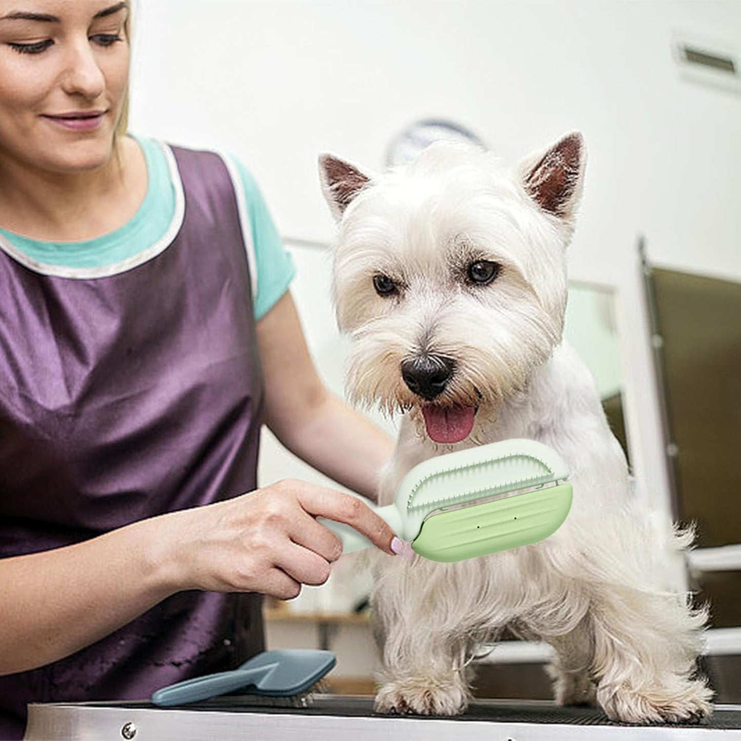 Cat Hair Remover Brush, Lightweight Pet 2 In 1 Grooming Comb,easy To Use Double-Sided Cleaning Brushes And Pet Accessories For Small, Medium, Large, Cats And Dogs, green