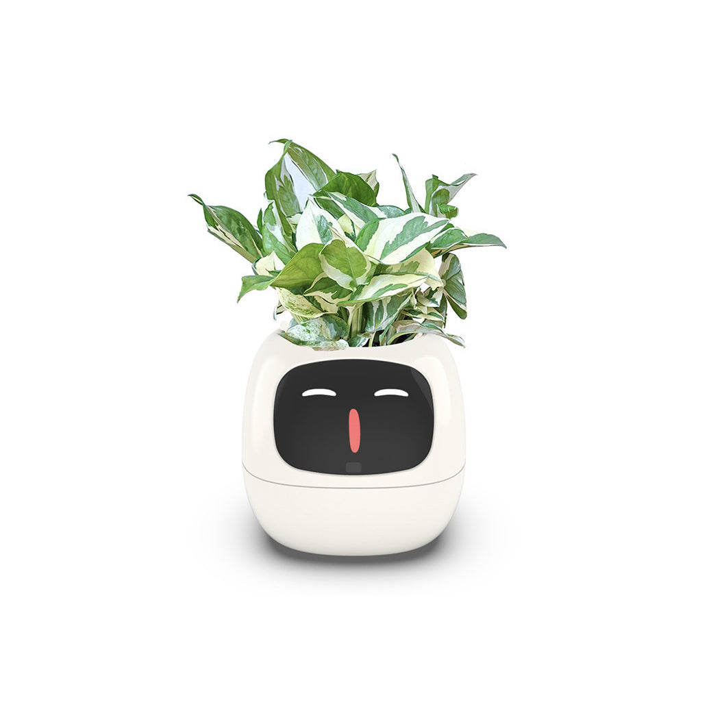 Smart Flowerpot